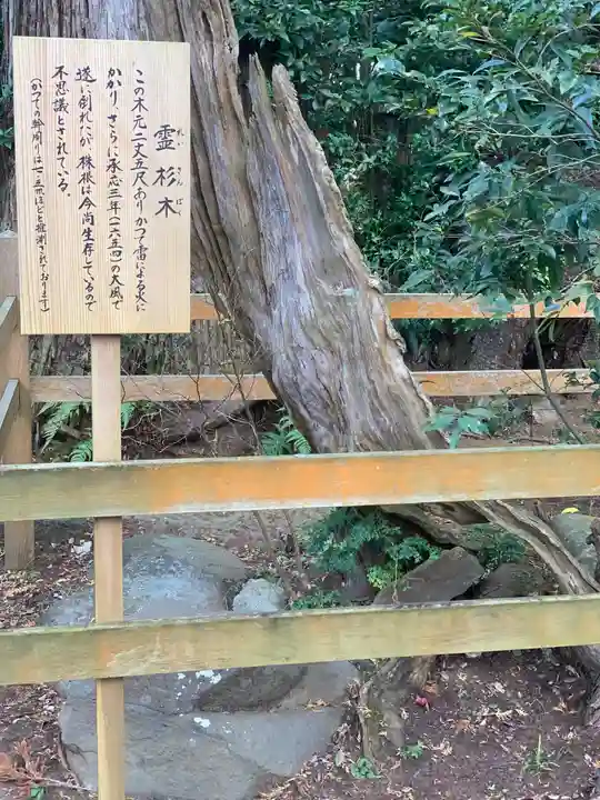 鹿島神宮の自然