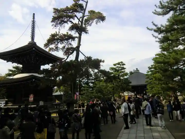 智恩寺(京都府)