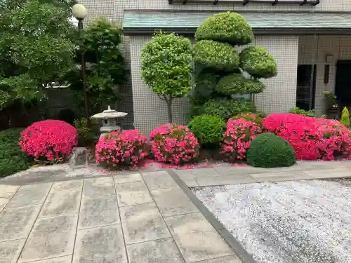 十念寺の{uncategorized: "未分類", other: "その他", undefined: "問題あり", building: "その他建物", grave: "お墓", sacred_gate: "鳥居", guardian: "狛犬", statue: "像", buddha: "仏像", history: "歴史", nature: "自然", garden: "庭園", animal: "動物", pagoda: "塔", temizu: "手水舎", mountain_gate: "山門・神門", sanctuary: "本殿・本堂", subordinate: "末社・摂社", art: "芸術", scenery: "景色", jizo: "地蔵", ema: "絵馬", goshuin: "御朱印", omikuji: "おみくじ", items: "授与品その他", amulet: "お守り", goshuincho: "御朱印帳", eats: "食事", festival: "お祭り", votive_dance: "神楽", shichigosan: "七五三参", wedding: "結婚式", experience: "体験その他", initially: "初詣", around: "周辺", anti_infection: "感染症対策"}