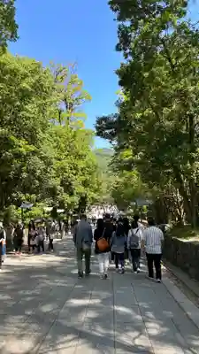 出雲大社(島根県)