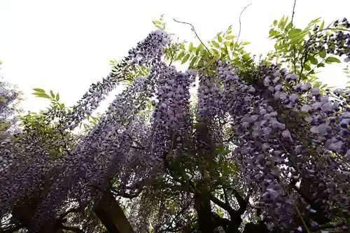 大山祇神社(愛媛県)