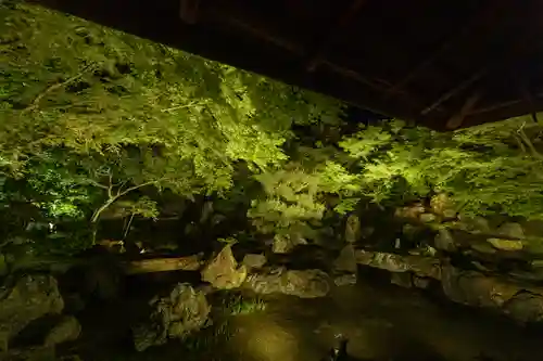 圓徳院(京都府)