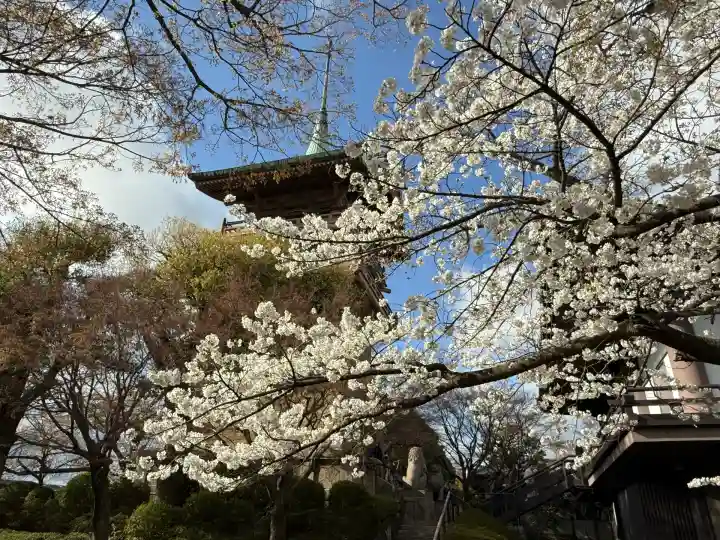 大雲院(京都府)