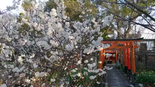 平野神社の自然