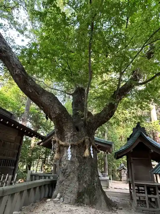 穂高神社本宮(長野県)