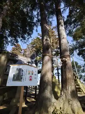 鹿島神社(福島県)