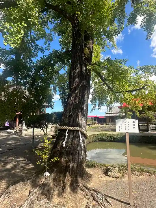 熊野神社(宮城県)
