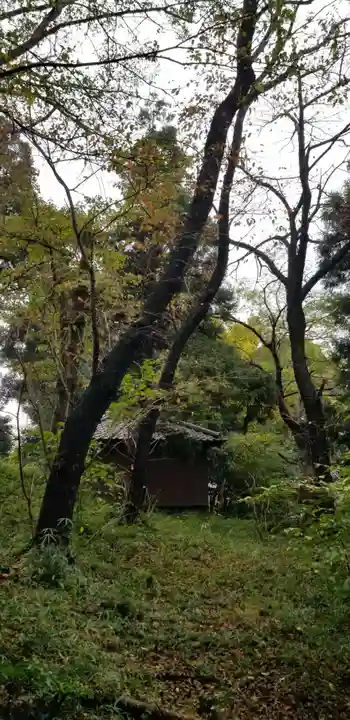 神明神社の自然