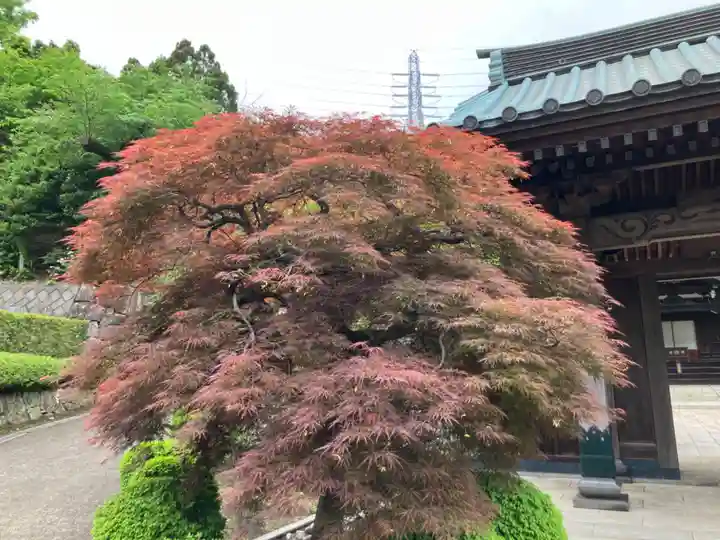 貴雲寺(神奈川県)