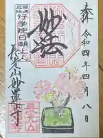 妙蓮寺の御朱印