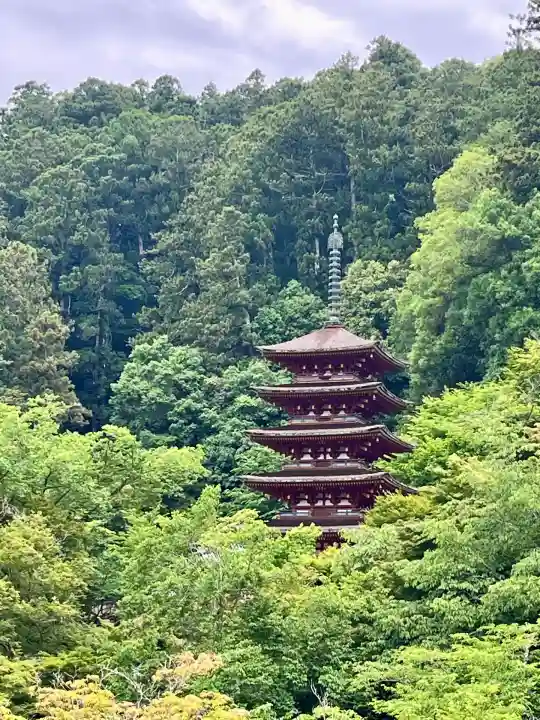 長谷寺(奈良県)
