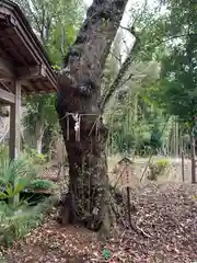 鷲神社(茨城県)