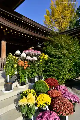 寒川神社(神奈川県)