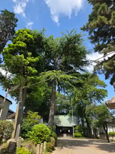 田端神社の{uncategorized: "未分類", other: "その他", undefined: "問題あり", building: "その他建物", grave: "お墓", sacred_gate: "鳥居", guardian: "狛犬", statue: "像", buddha: "仏像", history: "歴史", nature: "自然", garden: "庭園", animal: "動物", pagoda: "塔", temizu: "手水舎", mountain_gate: "山門・神門", sanctuary: "本殿・本堂", subordinate: "末社・摂社", art: "芸術", scenery: "景色", jizo: "地蔵", ema: "絵馬", goshuin: "御朱印", omikuji: "おみくじ", items: "授与品その他", amulet: "お守り", goshuincho: "御朱印帳", eats: "食事", festival: "お祭り", votive_dance: "神楽", shichigosan: "七五三参", wedding: "結婚式", experience: "体験その他", initially: "初詣", around: "周辺", anti_infection: "感染症対策"}