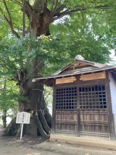 大桑神社(茨城県)