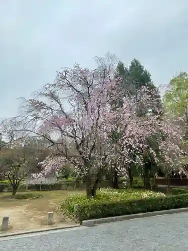 鑁阿寺の{uncategorized: "未分類", other: "その他", undefined: "問題あり", building: "その他建物", grave: "お墓", sacred_gate: "鳥居", guardian: "狛犬", statue: "像", buddha: "仏像", history: "歴史", nature: "自然", garden: "庭園", animal: "動物", pagoda: "塔", temizu: "手水舎", mountain_gate: "山門・神門", sanctuary: "本殿・本堂", subordinate: "末社・摂社", art: "芸術", scenery: "景色", jizo: "地蔵", ema: "絵馬", goshuin: "御朱印", omikuji: "おみくじ", items: "授与品その他", amulet: "お守り", goshuincho: "御朱印帳", eats: "食事", festival: "お祭り", votive_dance: "神楽", shichigosan: "七五三参", wedding: "結婚式", experience: "体験その他", initially: "初詣", around: "周辺", anti_infection: "感染症対策"}