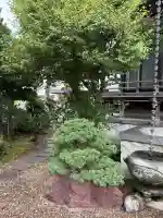 仏照寺(茨城県)