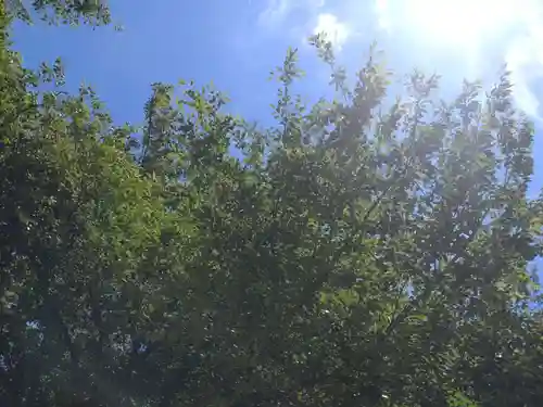 七郷神社(埼玉県)
