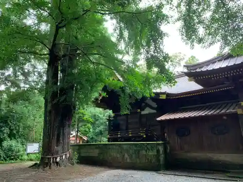 玉敷神社の本殿