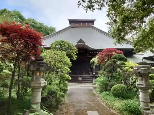 養樹院(圓通庵）(東京都)