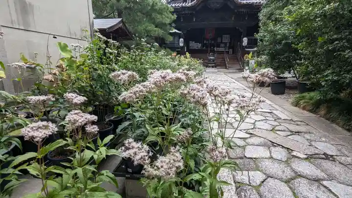 行願寺(革堂)(京都府)