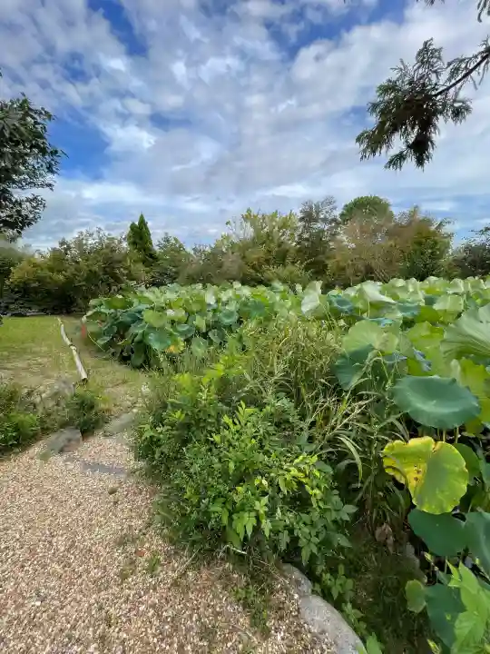 法華寺(奈良県)