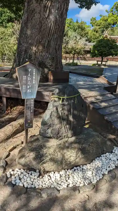 平野神社(京都府)