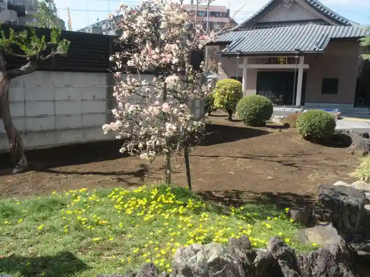 清涼寺(東京都)