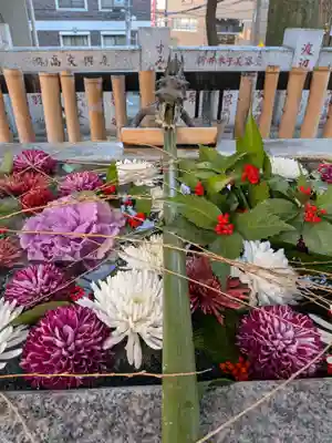 高円寺氷川神社(東京都)
