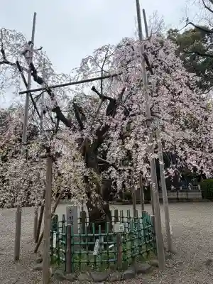 大國魂神社(東京都)