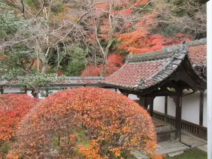 毘沙門堂門跡のその他建物