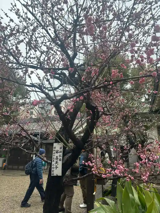 難波八阪神社の{uncategorized: "未分類", other: "その他", undefined: "問題あり", building: "その他建物", grave: "お墓", sacred_gate: "鳥居", guardian: "狛犬", statue: "像", buddha: "仏像", history: "歴史", nature: "自然", garden: "庭園", animal: "動物", pagoda: "塔", temizu: "手水舎", mountain_gate: "山門・神門", sanctuary: "本殿・本堂", subordinate: "末社・摂社", art: "芸術", scenery: "景色", jizo: "地蔵", ema: "絵馬", goshuin: "御朱印", omikuji: "おみくじ", items: "授与品その他", amulet: "お守り", goshuincho: "御朱印帳", eats: "食事", festival: "お祭り", votive_dance: "神楽", shichigosan: "七五三参", wedding: "結婚式", experience: "体験その他", initially: "初詣", around: "周辺", anti_infection: "感染症対策"}