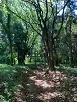 鹿嶋神社(千葉県)