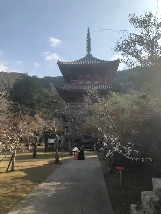 太山寺の塔