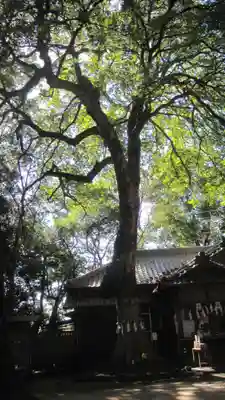 氷川女體神社(埼玉県)