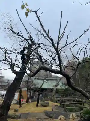 湯島天満宮(東京都)