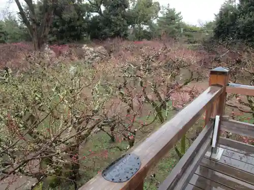 北野天満宮(京都府)