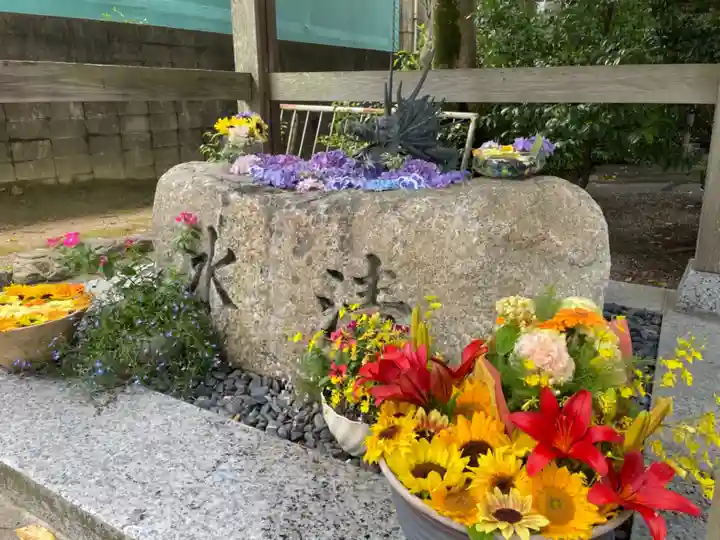 彌都加伎神社の手水舎