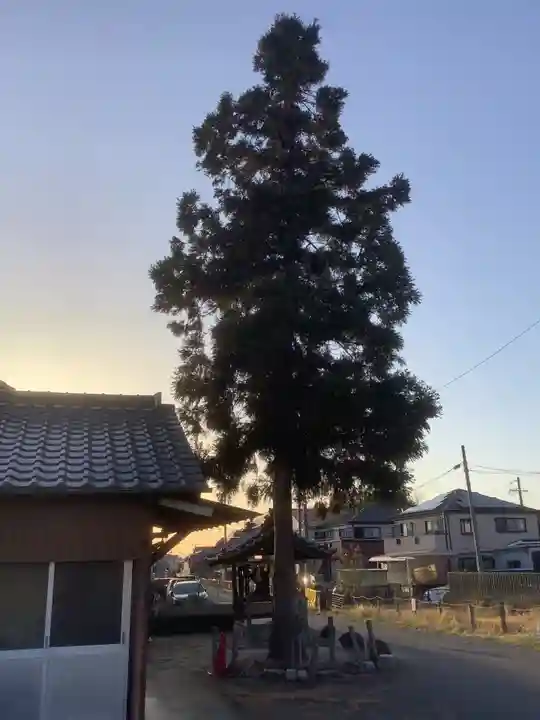 秋葉神社の自然