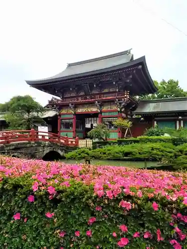 祐徳稲荷神社の山門