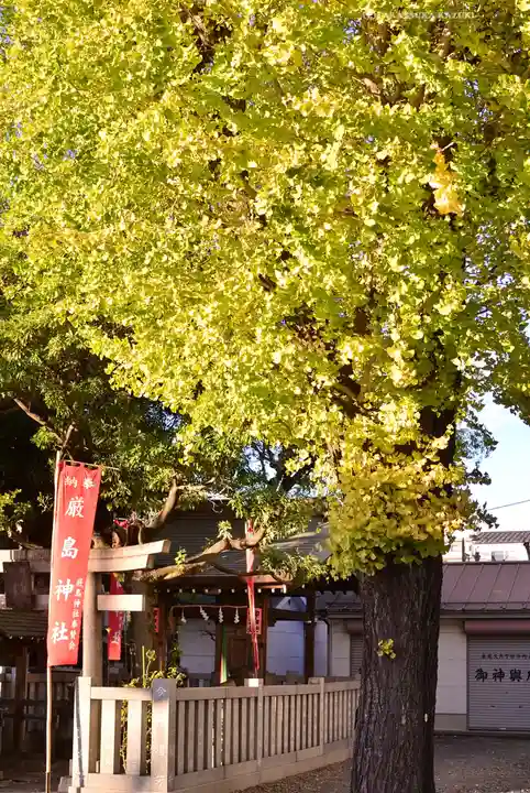 尾久八幡神社(東京都)