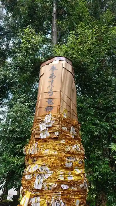 下野 星宮神社のその他建物