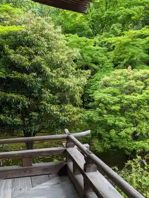 法金剛院(京都府)