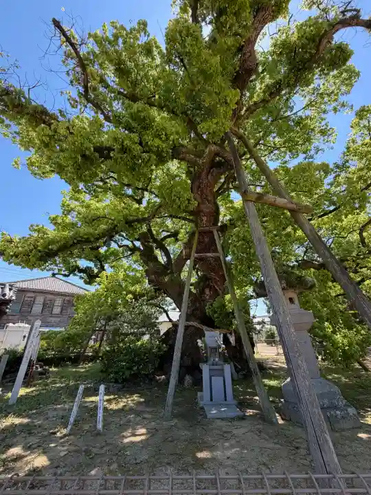 善通寺の{uncategorized: "未分類", other: "その他", undefined: "問題あり", building: "その他建物", grave: "お墓", sacred_gate: "鳥居", guardian: "狛犬", statue: "像", buddha: "仏像", history: "歴史", nature: "自然", garden: "庭園", animal: "動物", pagoda: "塔", temizu: "手水舎", mountain_gate: "山門・神門", sanctuary: "本殿・本堂", subordinate: "末社・摂社", art: "芸術", scenery: "景色", jizo: "地蔵", ema: "絵馬", goshuin: "御朱印", omikuji: "おみくじ", items: "授与品その他", amulet: "お守り", goshuincho: "御朱印帳", eats: "食事", festival: "お祭り", votive_dance: "神楽", shichigosan: "七五三参", wedding: "結婚式", experience: "体験その他", initially: "初詣", around: "周辺", anti_infection: "感染症対策"}