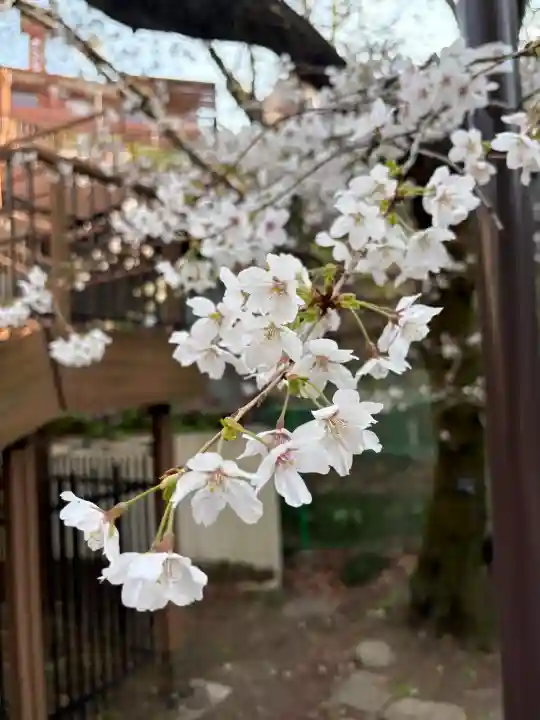 高山稲荷神社の{uncategorized: "未分類", other: "その他", undefined: "問題あり", building: "その他建物", grave: "お墓", sacred_gate: "鳥居", guardian: "狛犬", statue: "像", buddha: "仏像", history: "歴史", nature: "自然", garden: "庭園", animal: "動物", pagoda: "塔", temizu: "手水舎", mountain_gate: "山門・神門", sanctuary: "本殿・本堂", subordinate: "末社・摂社", art: "芸術", scenery: "景色", jizo: "地蔵", ema: "絵馬", goshuin: "御朱印", omikuji: "おみくじ", items: "授与品その他", amulet: "お守り", goshuincho: "御朱印帳", eats: "食事", festival: "お祭り", votive_dance: "神楽", shichigosan: "七五三参", wedding: "結婚式", experience: "体験その他", initially: "初詣", around: "周辺", anti_infection: "感染症対策"}