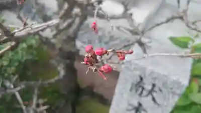 櫛田神社(福岡県)