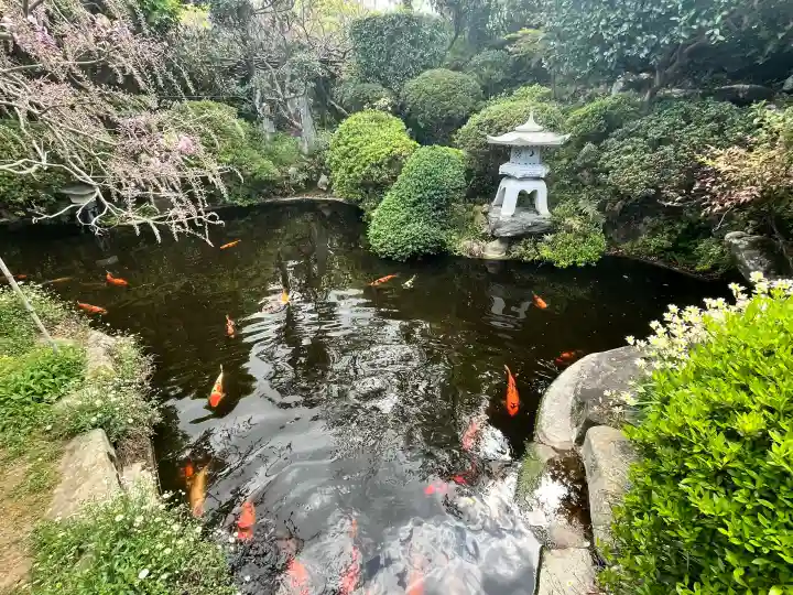 子安地蔵寺の{uncategorized: "未分類", other: "その他", undefined: "問題あり", building: "その他建物", grave: "お墓", sacred_gate: "鳥居", guardian: "狛犬", statue: "像", buddha: "仏像", history: "歴史", nature: "自然", garden: "庭園", animal: "動物", pagoda: "塔", temizu: "手水舎", mountain_gate: "山門・神門", sanctuary: "本殿・本堂", subordinate: "末社・摂社", art: "芸術", scenery: "景色", jizo: "地蔵", ema: "絵馬", goshuin: "御朱印", omikuji: "おみくじ", items: "授与品その他", amulet: "お守り", goshuincho: "御朱印帳", eats: "食事", festival: "お祭り", votive_dance: "神楽", shichigosan: "七五三参", wedding: "結婚式", experience: "体験その他", initially: "初詣", around: "周辺", anti_infection: "感染症対策"}