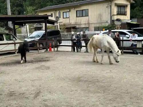 丹生川上神社（下社）(奈良県)