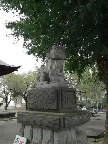 住吉神社の狛犬