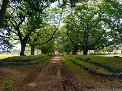 東蕗田天満社(茨城県)